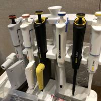 Thermo Fisher货号4642120现货Finnpipette F2 5-50μl micro单道可变量程移液器CE认证19121878899上海睿安生物