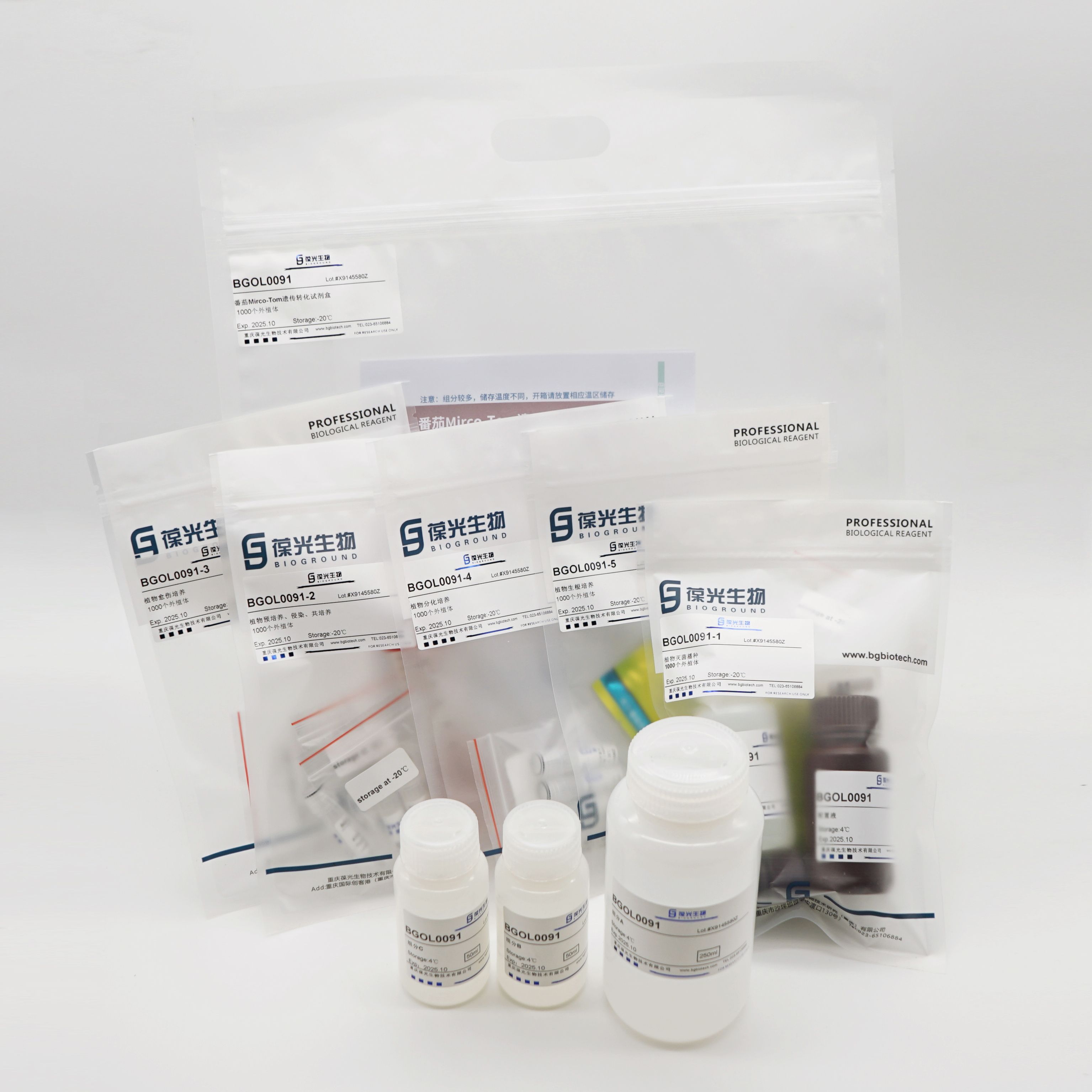 番茄、本氏、拟南芥转基因试剂盒