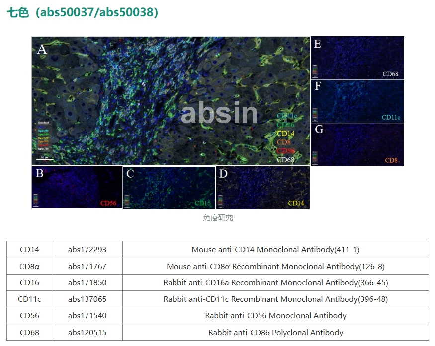技术资料图片35