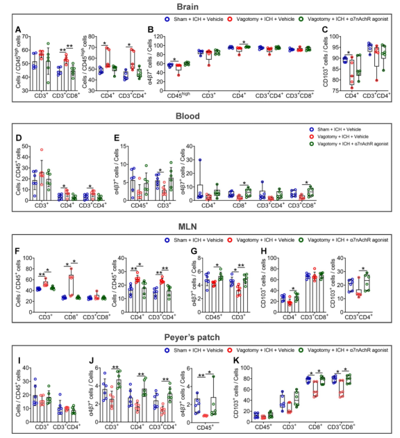 Theranostics（IF=12.4）｜迷走神经调控肠道免疫细胞迁移并影响脑出血预后的机制