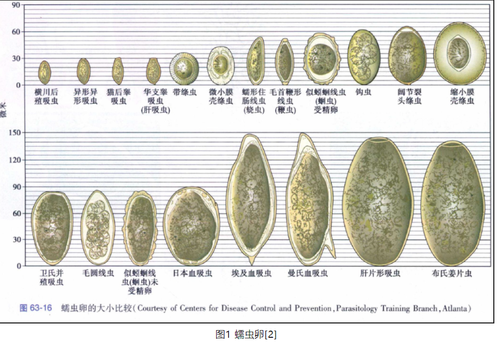 粪便寄生虫卵检测制片盒(改良加藤法)