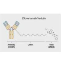 Zilovertamab vedotin  |  VLS-101/MK-2140 |  抗体