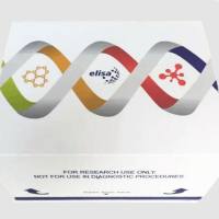 兔嗜酸粒细胞趋化因子受体(ECFR)酶联免疫ELISA试剂盒