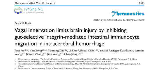 Theranostics（IF=12.4）｜迷走神经调控肠道免疫细胞迁移并影响脑出血预后的机制