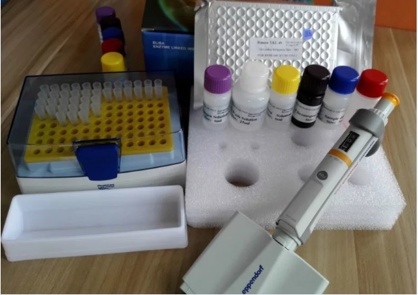 猴分泌粒蛋白II (SCG2)酶联免疫ELISA试剂盒