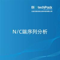 N/C端序列分析