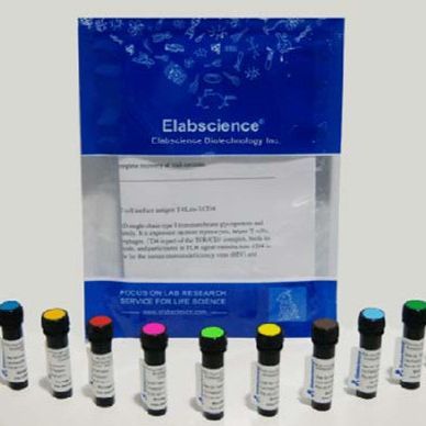 Elab Fluor®700 Anti-Mouse Ly6C Antibody[Monts 1](流式抗体)