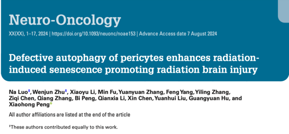 文献速递 | 胡广原课题组发现周细胞衰老在放射性脑损伤中的重要作用