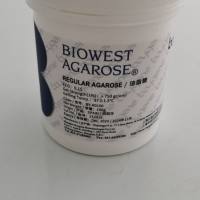 琼脂糖(Agarose)