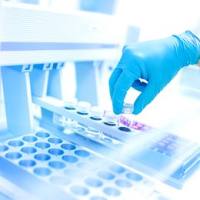 藻类样本甘露醇含量测定