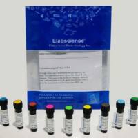 PE/Cyanine5.5 Anti-Human CD47 Antibody[CC2C6D4](流式抗体)