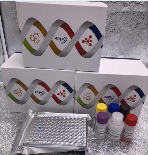 猴神经调节蛋白2(NRG-2)酶联免疫ELISA试剂盒