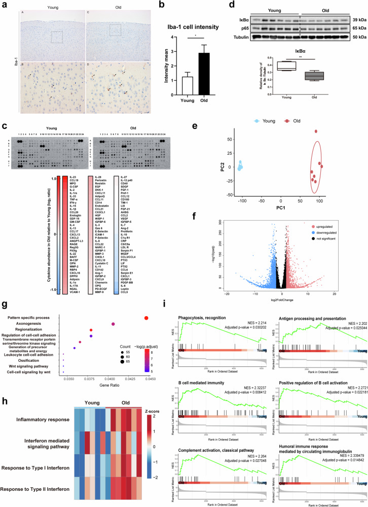 外泌体技术服务 外泌体技术服务