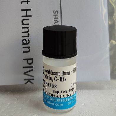 胰岛素受体底物1(IRS1)重组蛋白,人