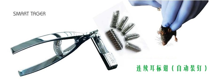 大鼠耳标记，大鼠耳标号，大鼠耳标标记器，大鼠标记器
