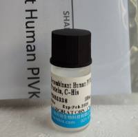 胰脂肪酶(PL)重组蛋白,人