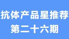 抗体产品星推荐第二十六期|Anti-UQCRC2 Polyclonal Antibody