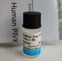 原钙黏素β15(PCDHb15)重组蛋白,人