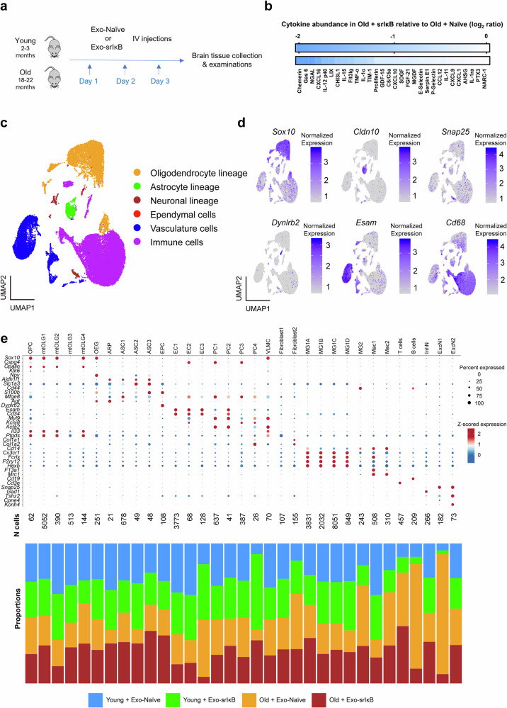 外泌体技术服务 外泌体技术服务