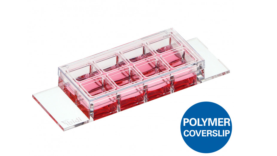 细胞总脱落、染色总串色？这份「细胞培养指南」不要错过