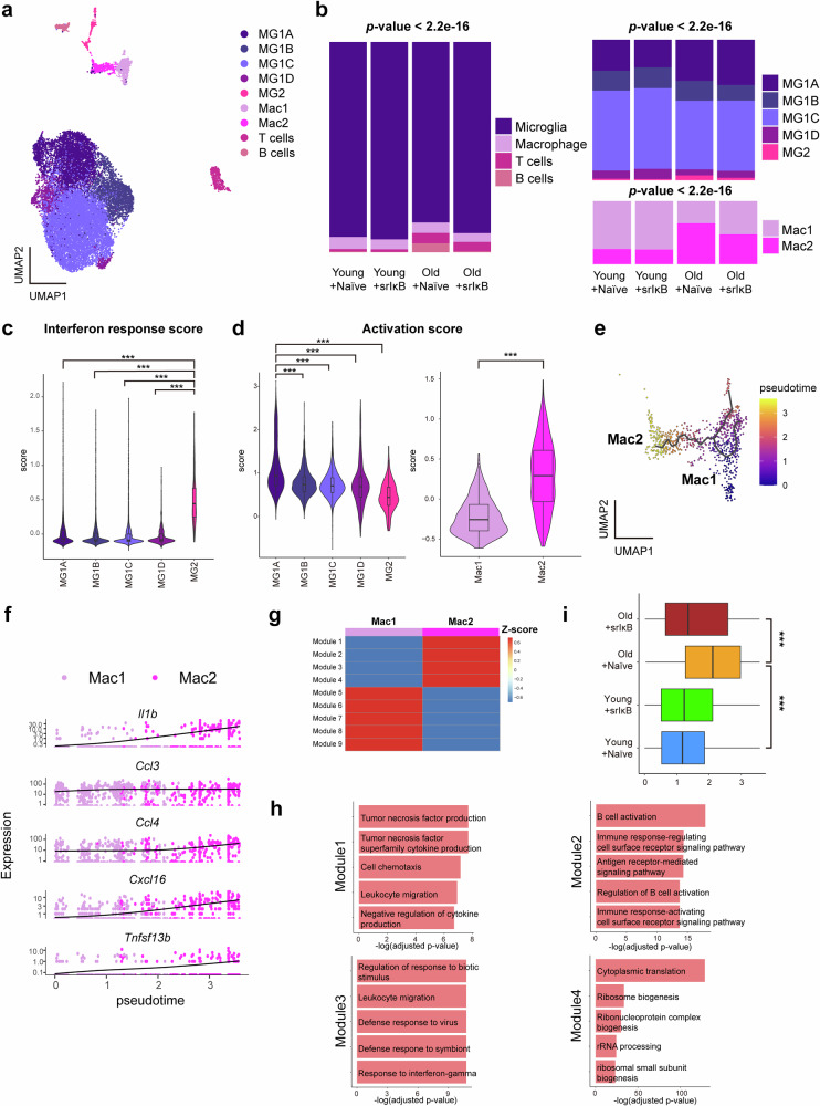 外泌体技术服务 外泌体技术服务