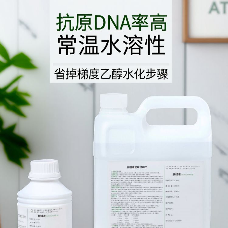 常温水性脱蜡液  环保脱蜡液 抗原DNA率高 无需乙醇水化 无毒不易燃爆