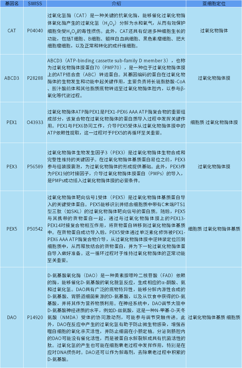 过氧化物酶体标志物