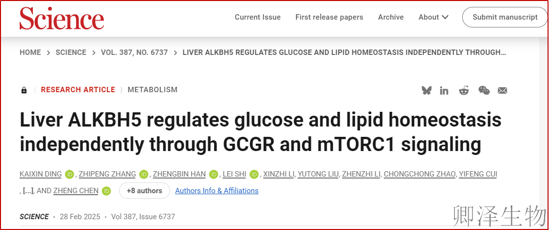 【文献快报】肝脏中「代谢双刃剑」ALKBH5如何同时稳住血糖和血脂？