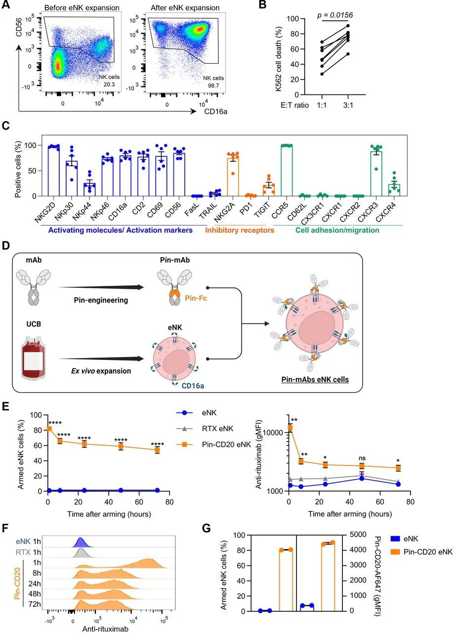 使用非基因修改技术生产类似CAR的NK细胞