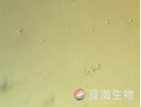 技术资料图片10