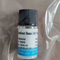 Smad同源物6(SMAD6)重组蛋白,大鼠