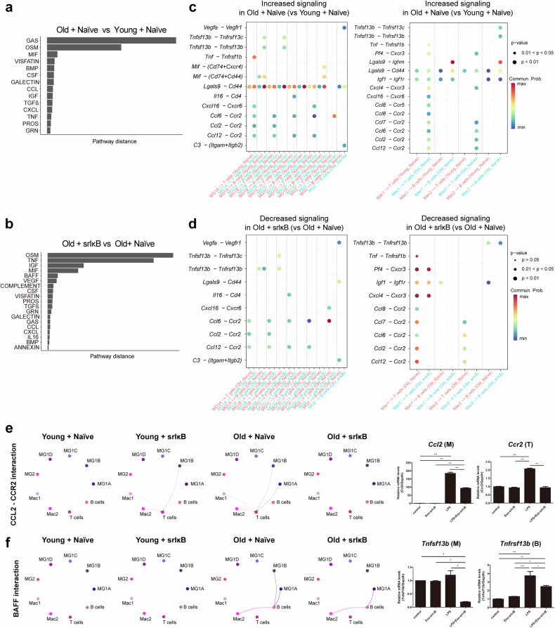 外泌体技术服务 外泌体技术服务