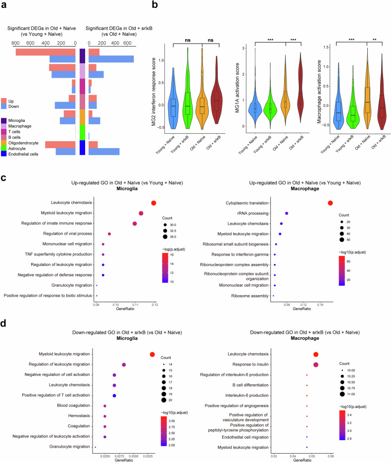 外泌体技术服务
外泌体技术服务