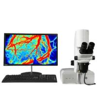 小鼠血流测量仪,大鼠血流测量仪