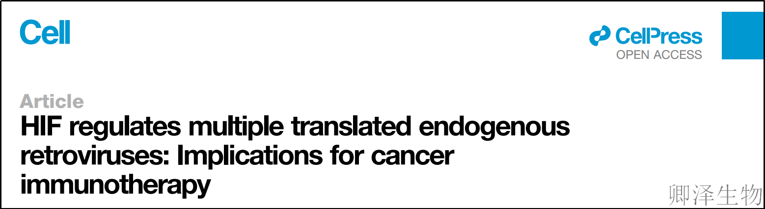 【文献速递】癌症免疫治疗新突破：低氧环境竟唤醒体内“沉睡病毒”，助力杀伤肿瘤！