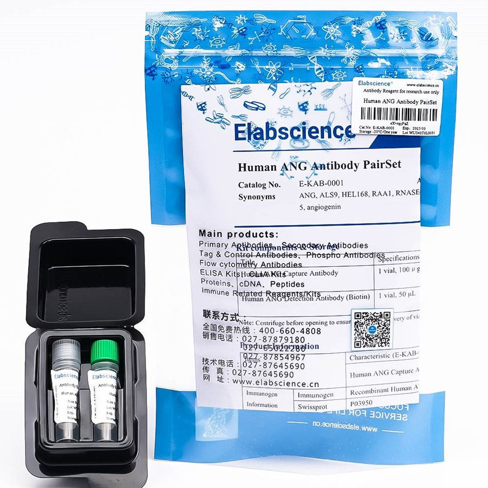 Mouse ARG1 Antibody Pair Set(抗体对)