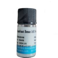 淋巴管内皮细胞透明质酸受体1(LYVE1)重组蛋白,小鼠