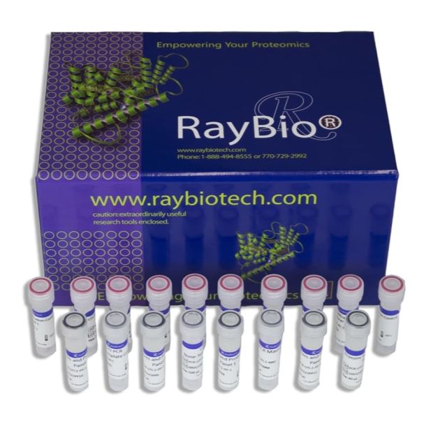 线粒体DNA提取试剂盒