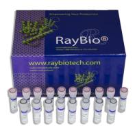 线粒体DNA提取试剂盒