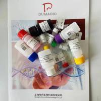 细粒棘球绦虫探针法荧光定量PCR试剂盒