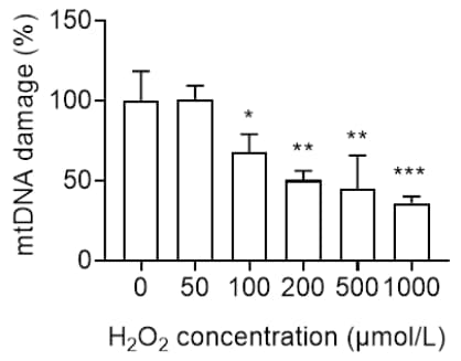 Amplification Curve 产品细节图片4
