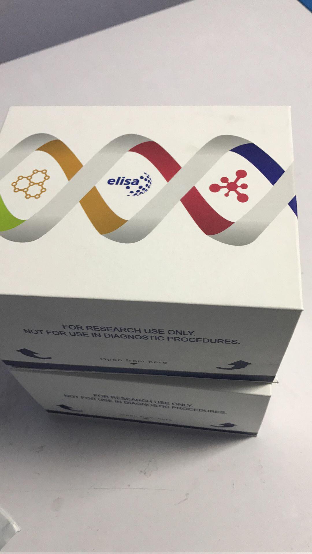 elisa试剂盒.JPG