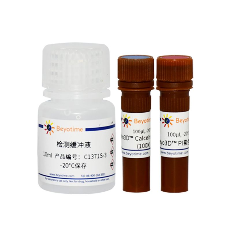 Beyo3D™ Calcein/PI细胞活性与细胞毒性检测试剂盒