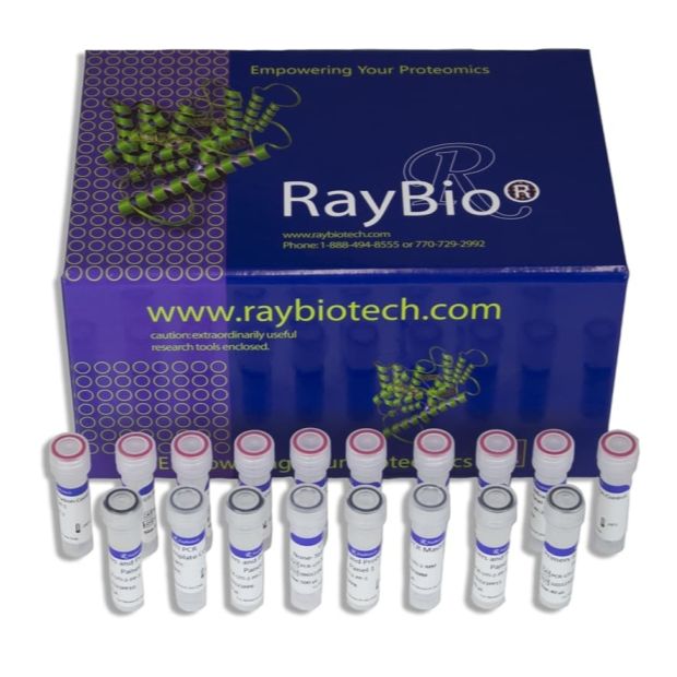 ATP定量分析试剂盒