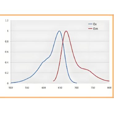 LysoTracker Deep Red 深红色溶酶体荧光探针