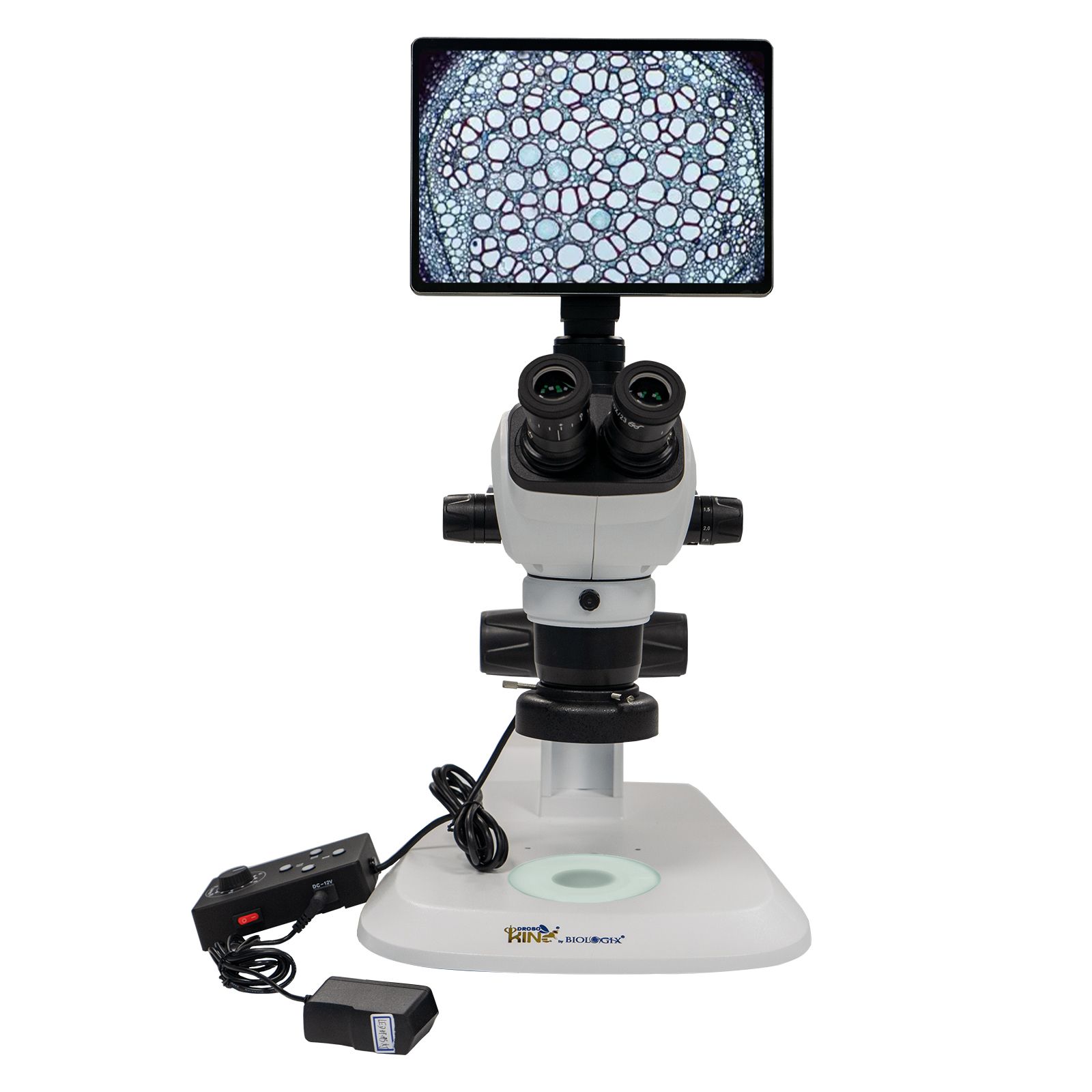 巴罗克-体式三目显微镜