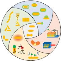 金纳米颗粒包裹针对ALK基因的小干扰RNA(ALK SiRNA)、miRNA-301抑制剂和多柔比星（DOX）