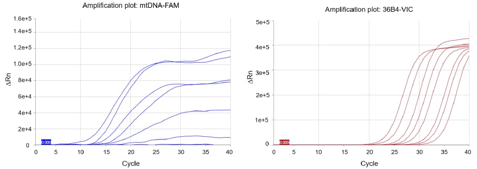 Amplification Curve 小鼠线粒体DNA qPCR试剂盒