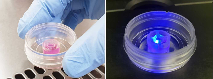 ibidi新品速递| ibidi micro-Insert 3D多功能3D细胞研究“神器”,让您的实验手段更加丰富!