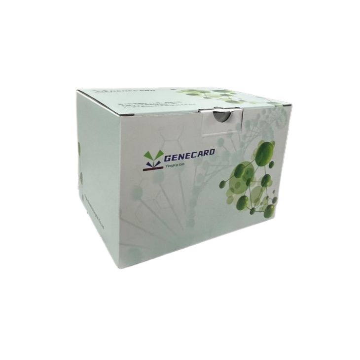 病毒 DNA/RNA 试剂盒（磁珠法）